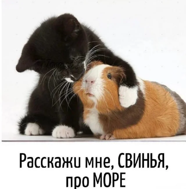 Немного позитива