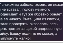 проба пера или 5 картинок