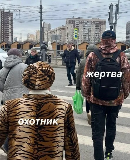 Обычные картинки
