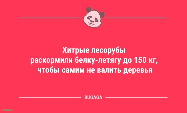 Анекдоты в середине недели: «Чтобы не наступать на одни и те же грабли…» 