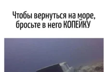 Игра слов #74