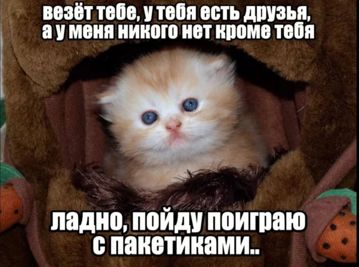 Нестандартный юмор #348