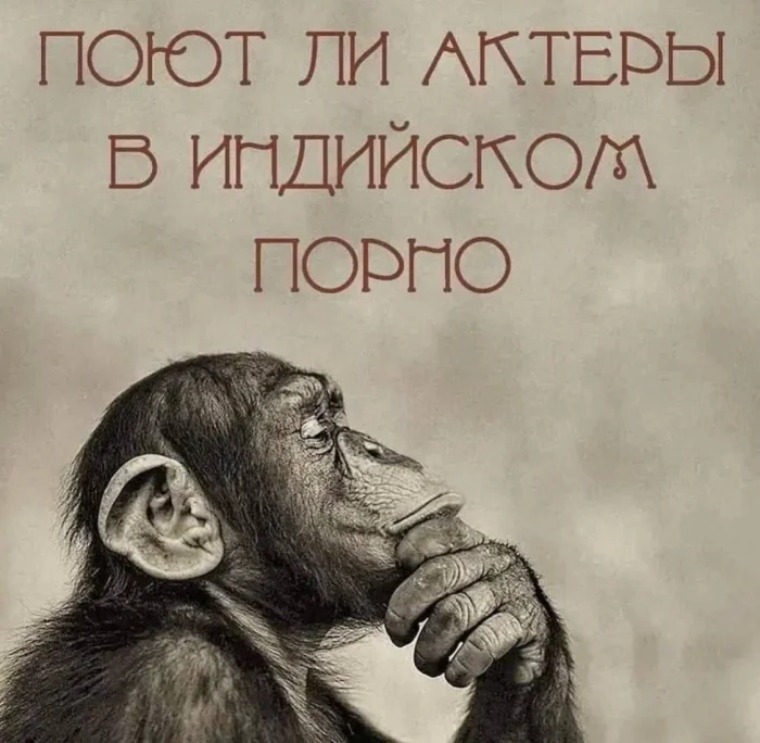 Нестандартный юмор #368