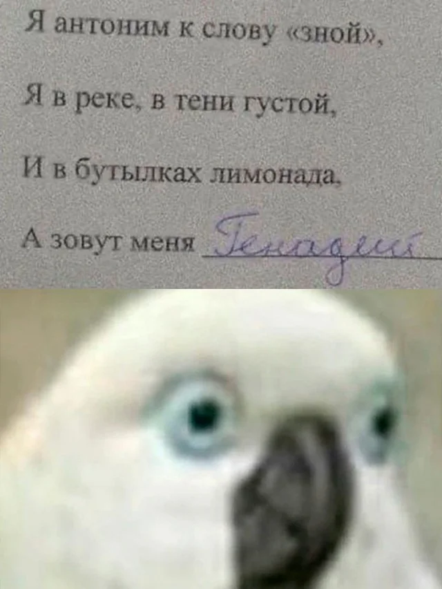 Коллекция баянов
