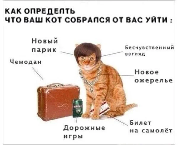 Мало кто знает, но баяны продлевают жизнь!