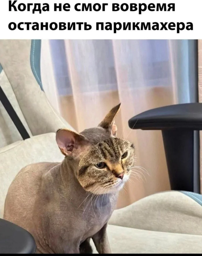 Нестандартный юмор #346