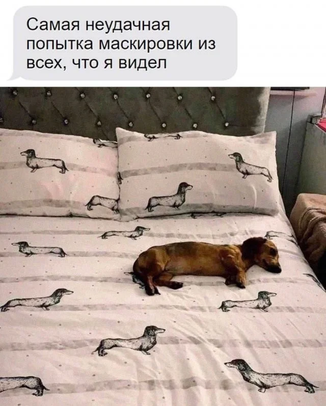 Смешные скрины из соцсетей #37