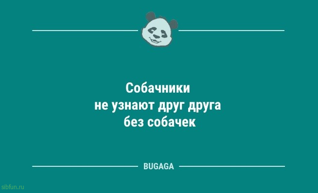 Анекдотов пост: «Расскажите немного о себе…» 