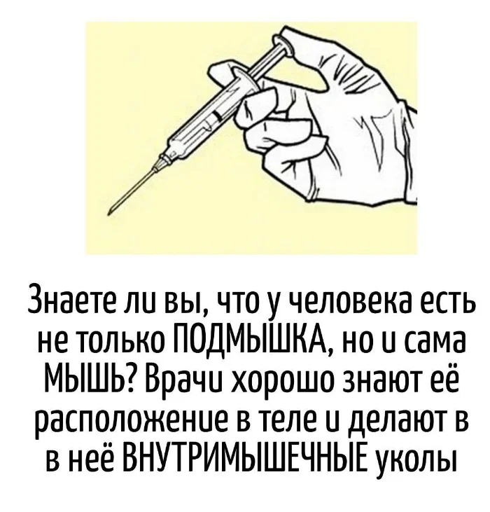 Игра слов #79