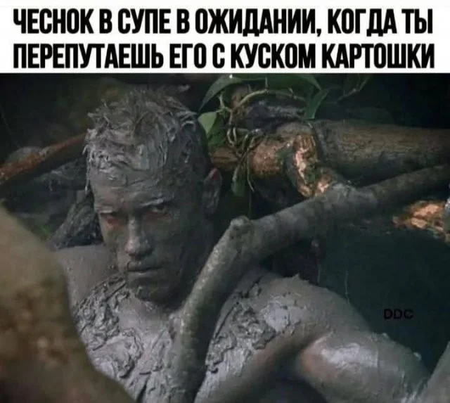 Смешные скрины из соцсетей #44