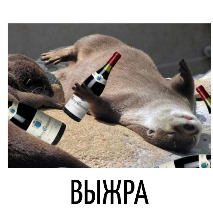 Игра слов #78