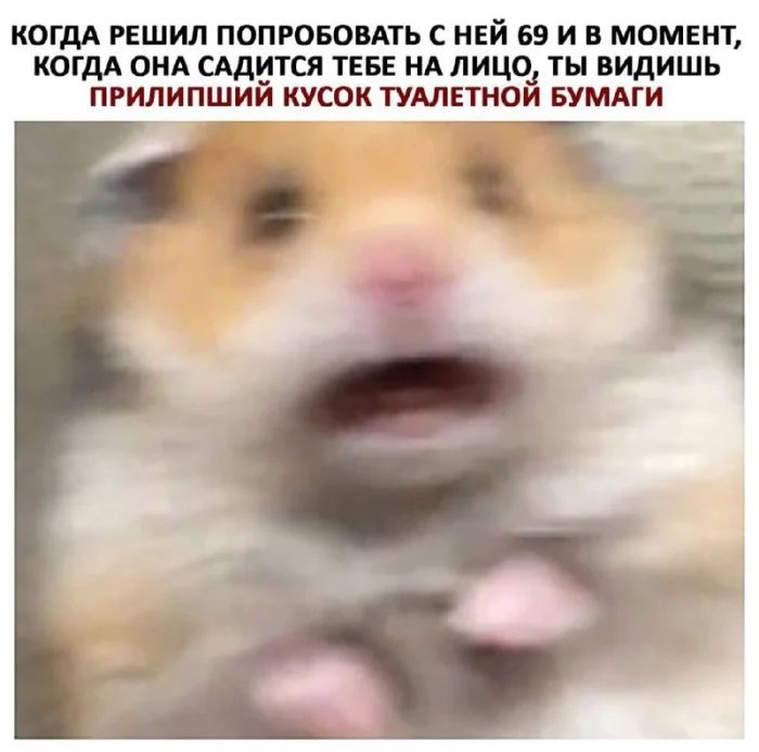 Нестандартный юмор #368