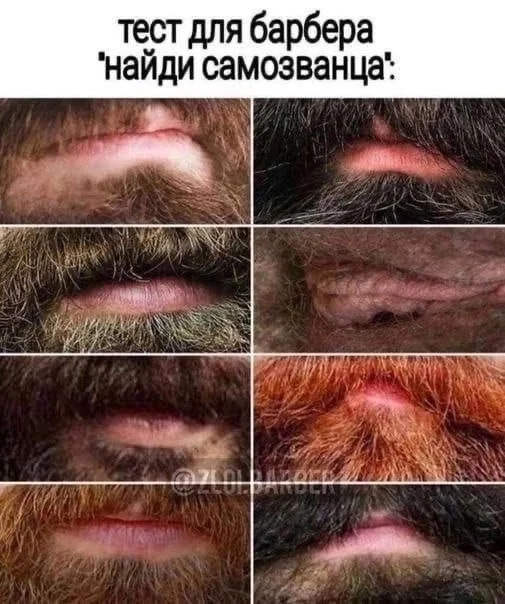 Нестандартный юмор #365
