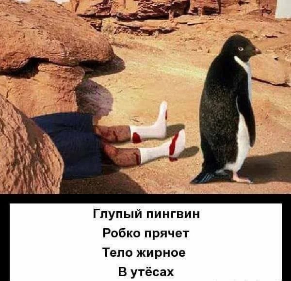 Сброс баянов