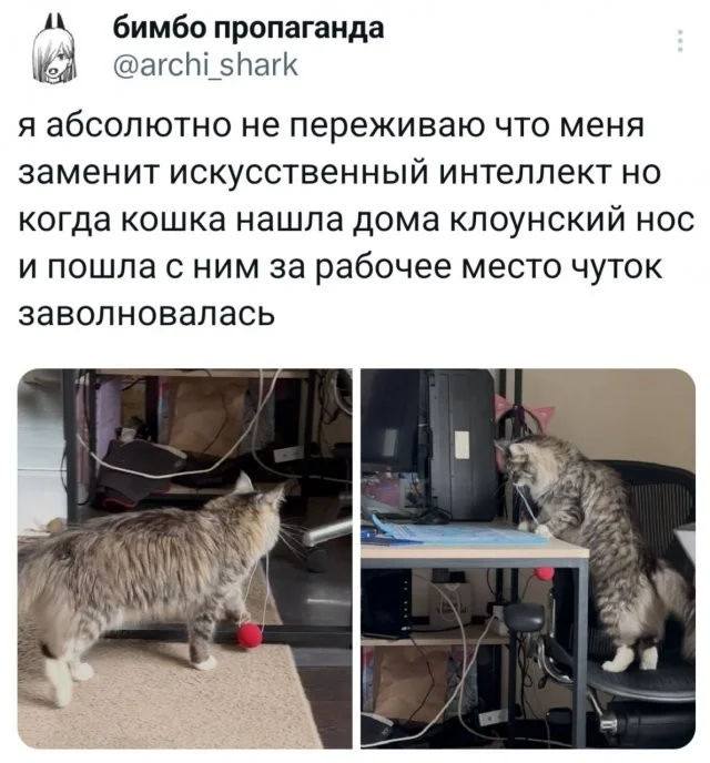 Смешные скрины из соцсетей #45