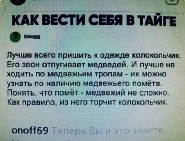 Кайф, а не прикольные картинки