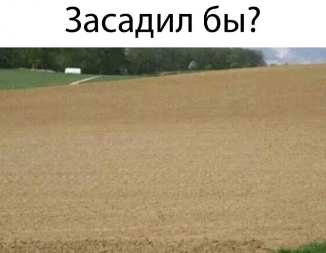 Картинки - смешно