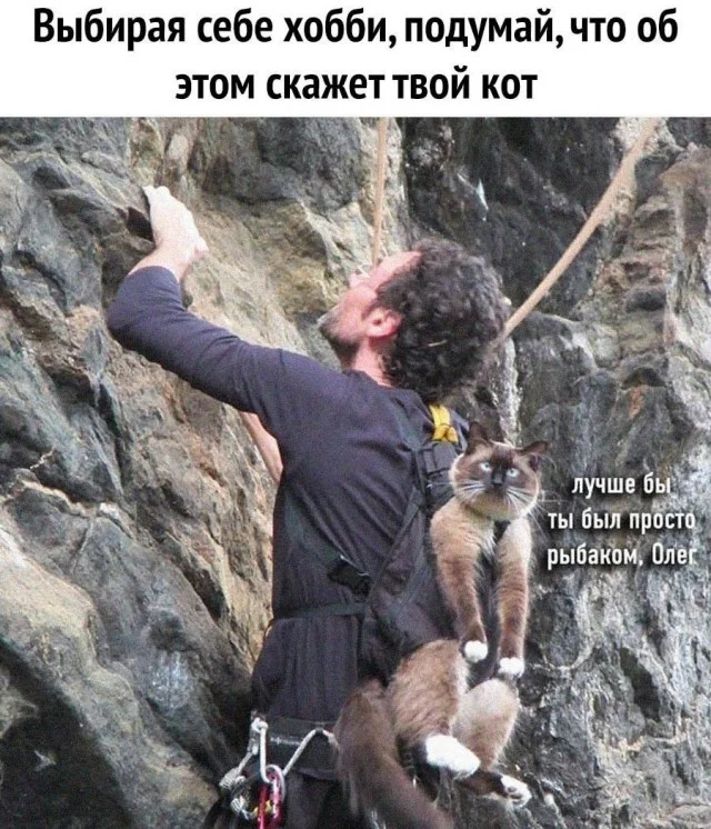 Картинки картиночки!