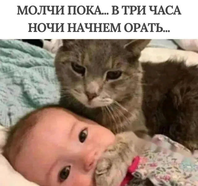 Куда уже свежей? Прикольные картинки!