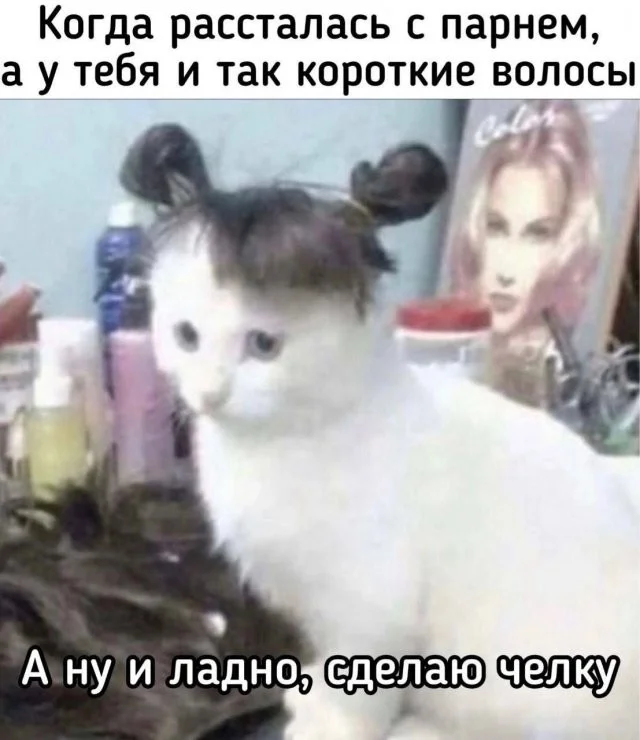 Смешные скрины из соцсетей #32
