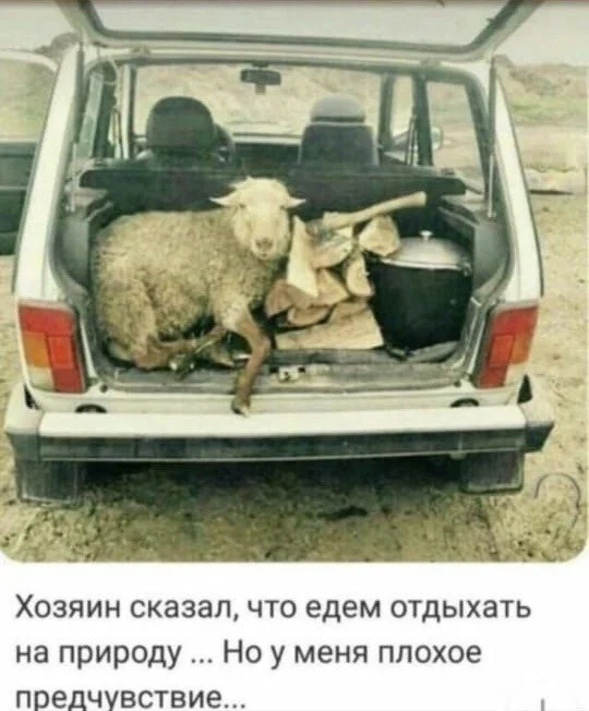 Сброс баянов