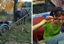 Яркие примеры того, как бедность рождает смекалку