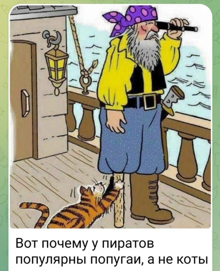 Нестандартный юмор #345