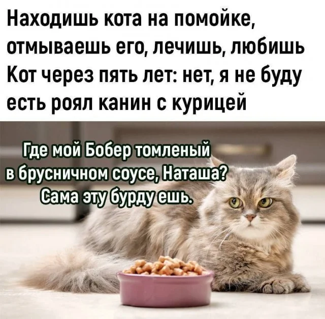 Куда уже свежей? Прикольные картинки!