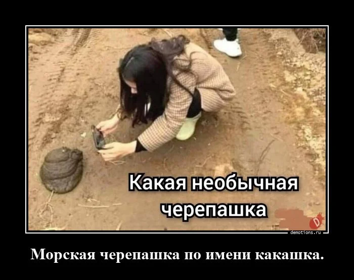 Демотиваторы-приколы