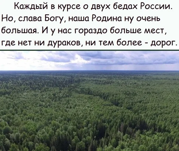 Веселые и смешные картинки
