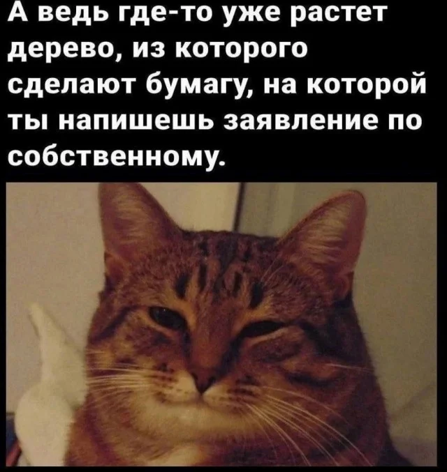Очередная подборка приколов