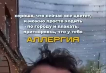 Смешные скрины из соцсетей #46