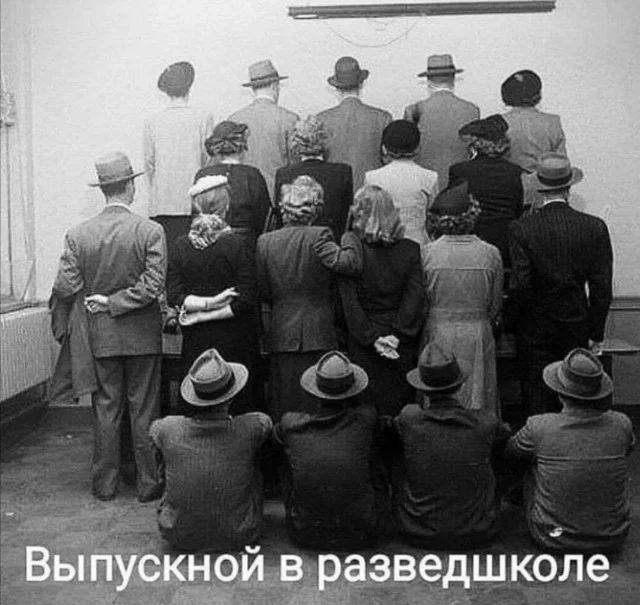 Кайф, а не прикольные картинки