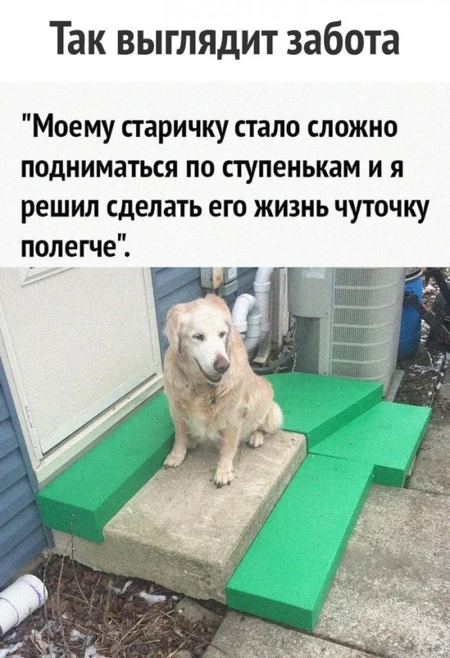 Юмор, что надо!