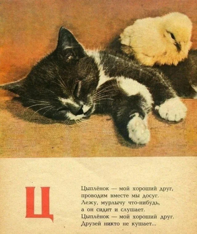 Легко и свежо: Прикольные картинки