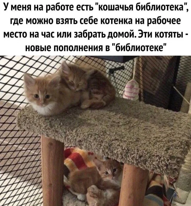 Картинки картиночки!