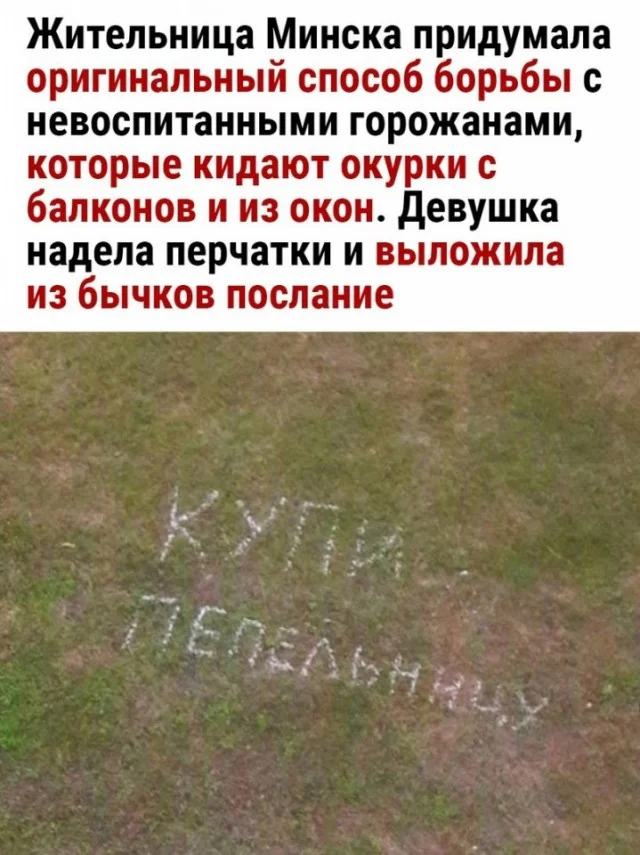 Легко и свежо: Прикольные картинки