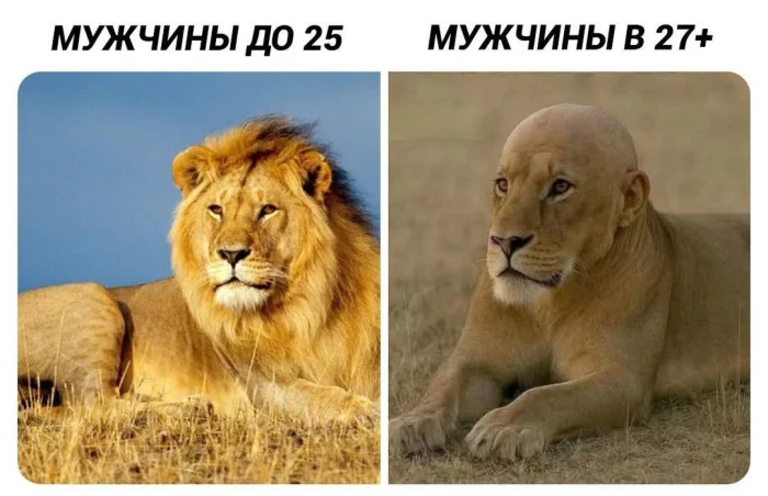 Нестандартный юмор #357