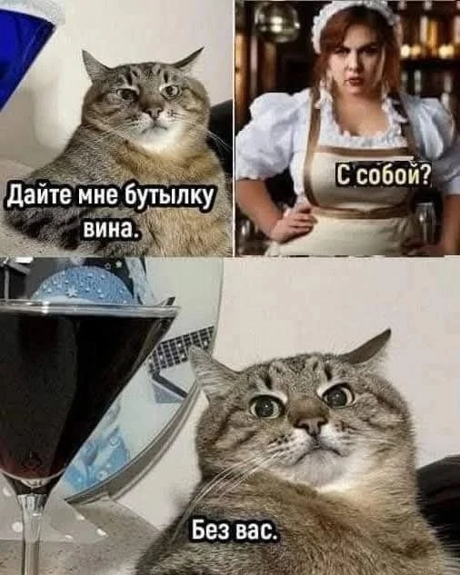 Смешные скрины из соцсетей #36