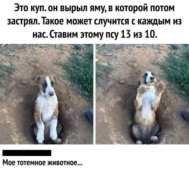 Актуально и свежо: Прикольные картинки