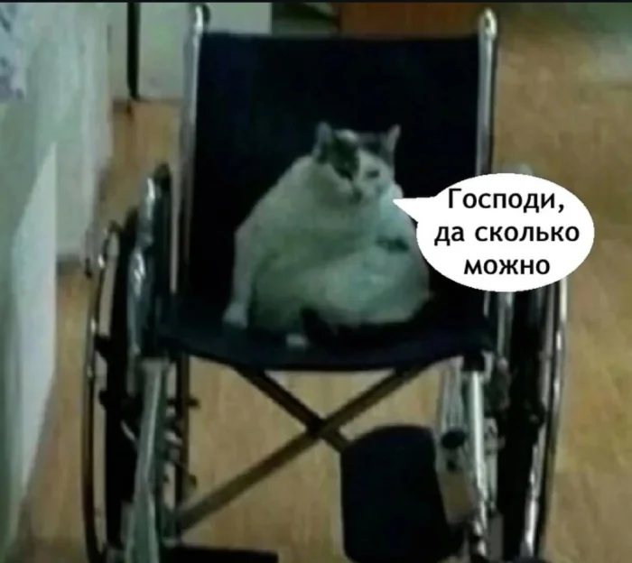 Да за что?!
