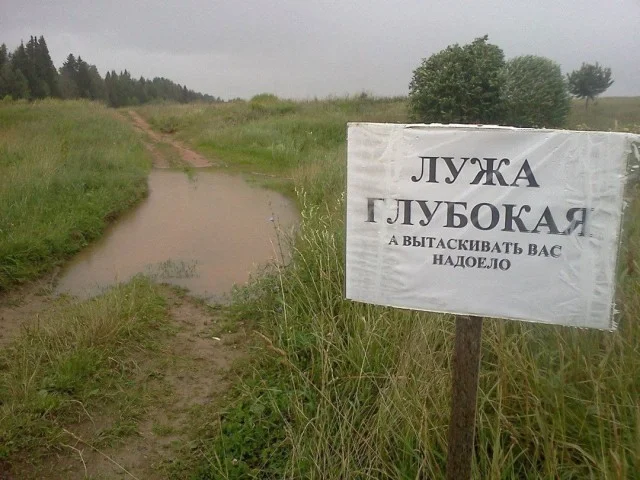 Куда смешней-то? Прикольные картинки