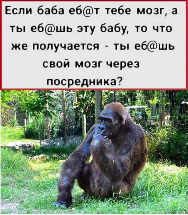Нестандартный юмор #363