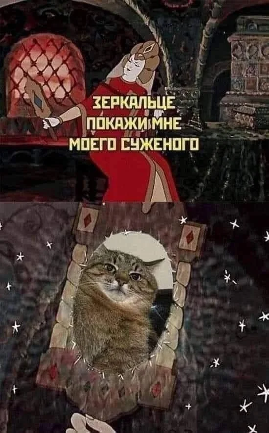 Смешные скрины из соцсетей #38