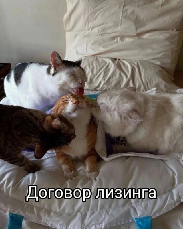 Весело и смешно