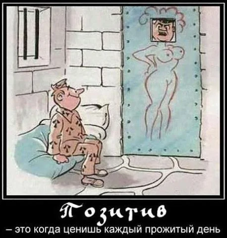 Куда смешней-то? Прикольные картинки