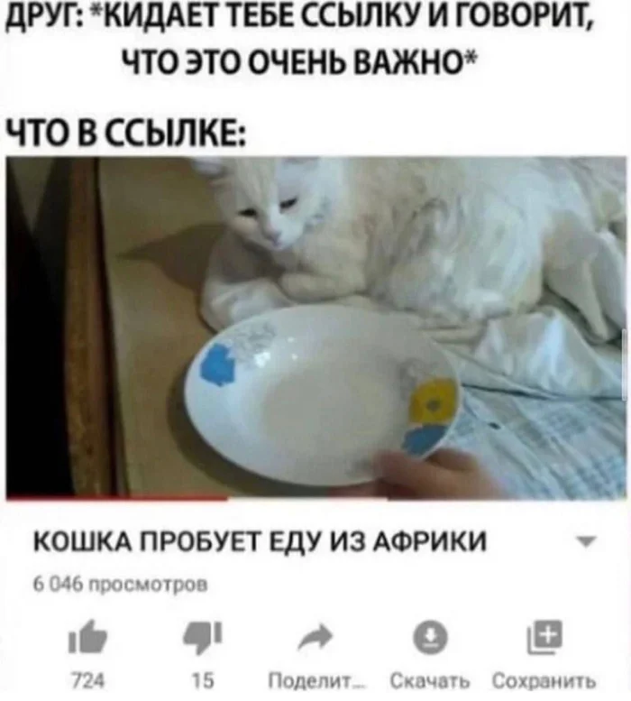 Нестандартный юмор #350