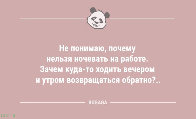 Анекдоты для предпятничного настроения: «Обходя разложенные грабли…» 