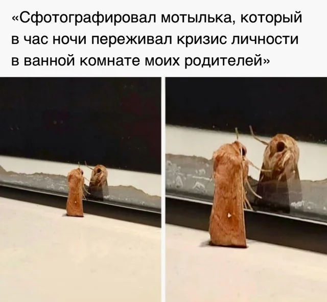 Картинки картиночки!