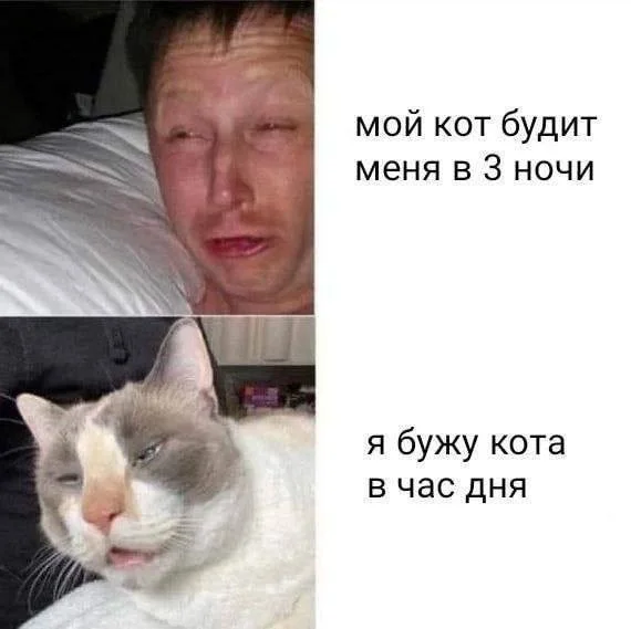 Смешные скрины из соцсетей #44